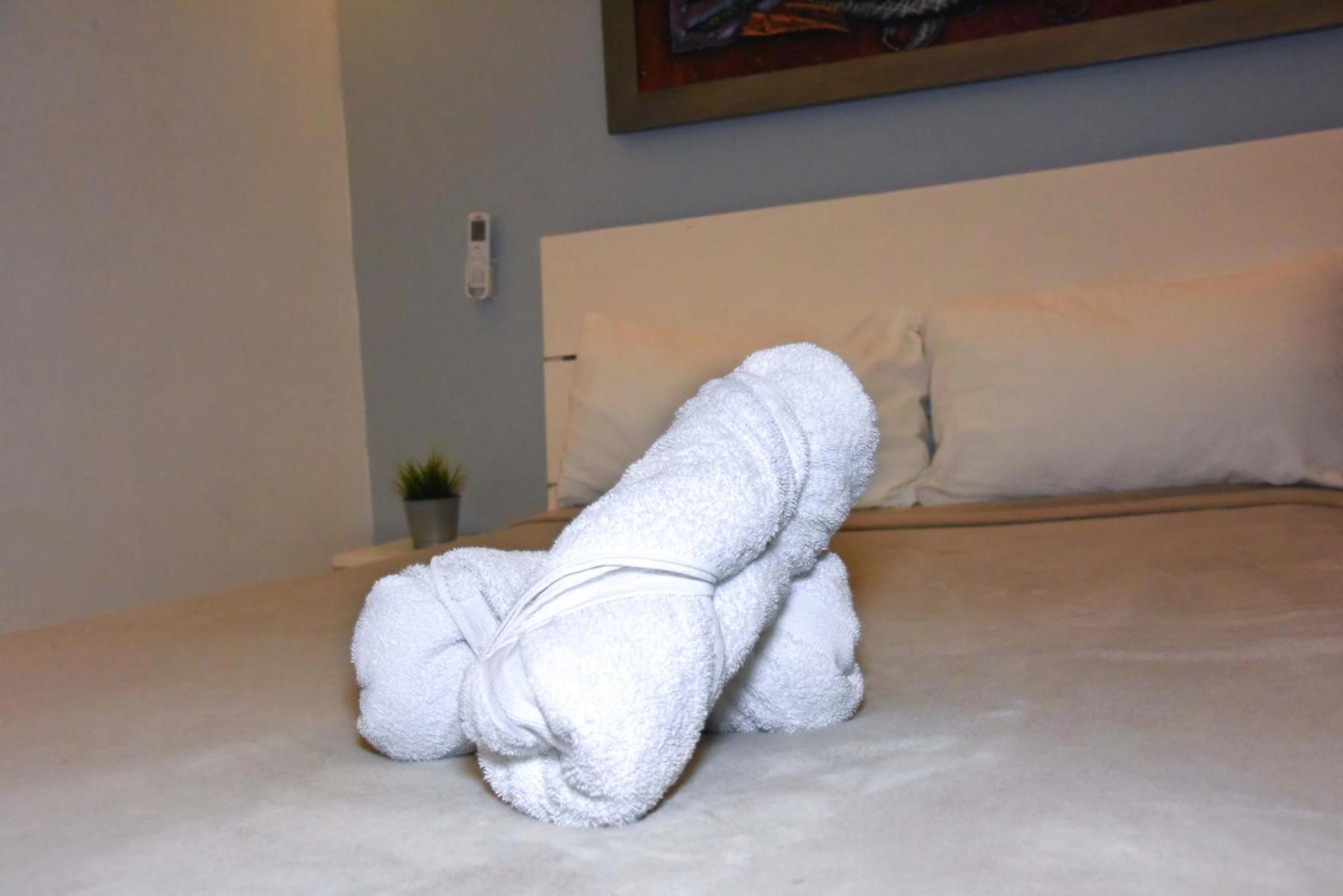 Hostel Gato Colonial Santo Domingo Eksteriør billede